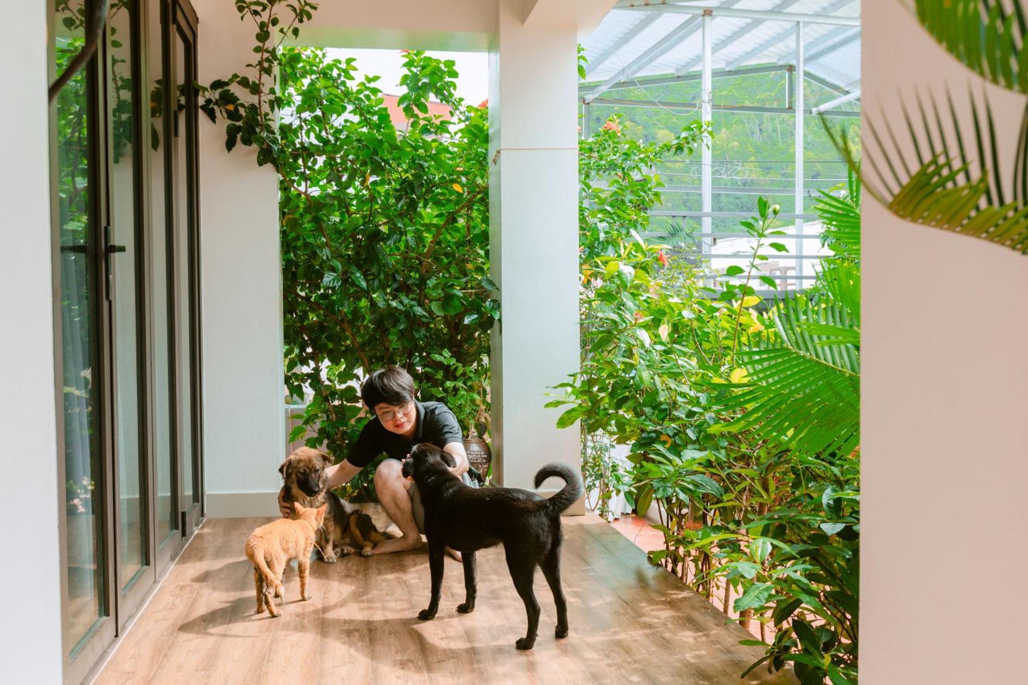 D'Home Homestay Cat Ba Dong Khe Sau Eksteriør bilde