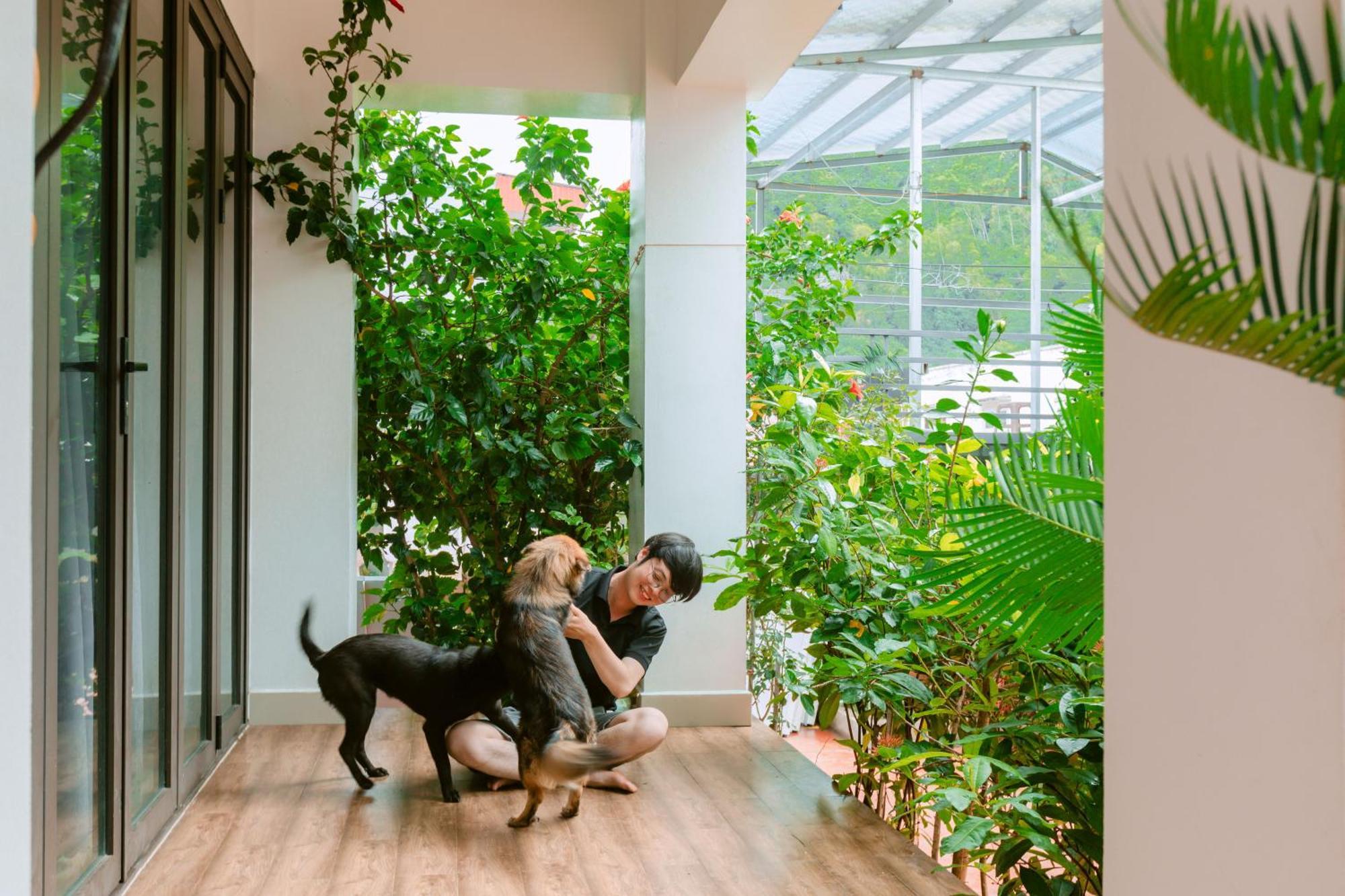 D'Home Homestay Cat Ba Dong Khe Sau Eksteriør bilde